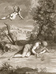 Narziss verwandelt sich in eine Blume, 1730